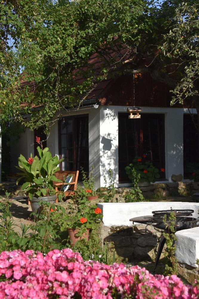 Ubytovani Pod Jilmem Zar Extérieur photo