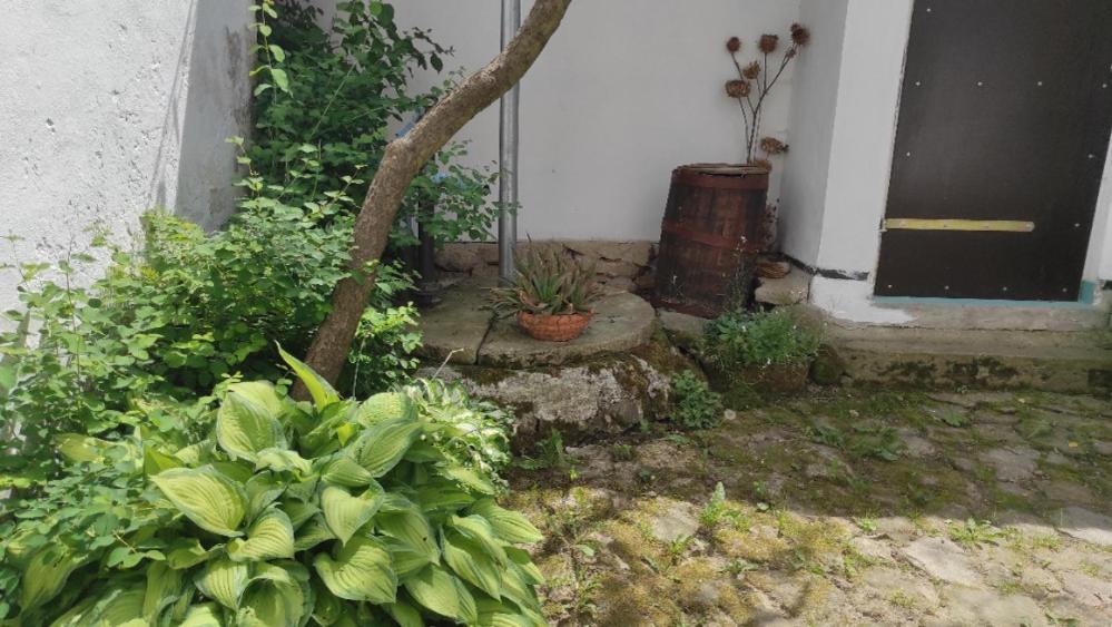 Ubytovani Pod Jilmem Zar Extérieur photo